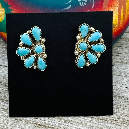 Clear Light Blue Kingman turquoise Half Cluster earrings Alicia Wilson Zuni signed 877